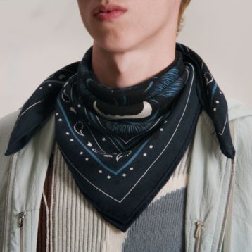 Grrrrr! scarf 65 Bandana - Blue | Hermès Mainland China